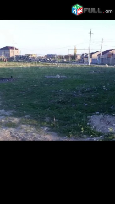 Տնամերձ հողատարածք