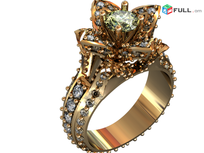 Անհատական խորացված, դասընթացներ Rhinoceros, Matrix, Rhino gold, Zbrush, Tspline