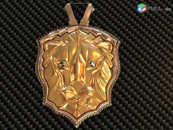 Անհատական խորացված, դասընթացներ Rhinoceros, Matrix, Rhino gold, Zbrush, Tspline