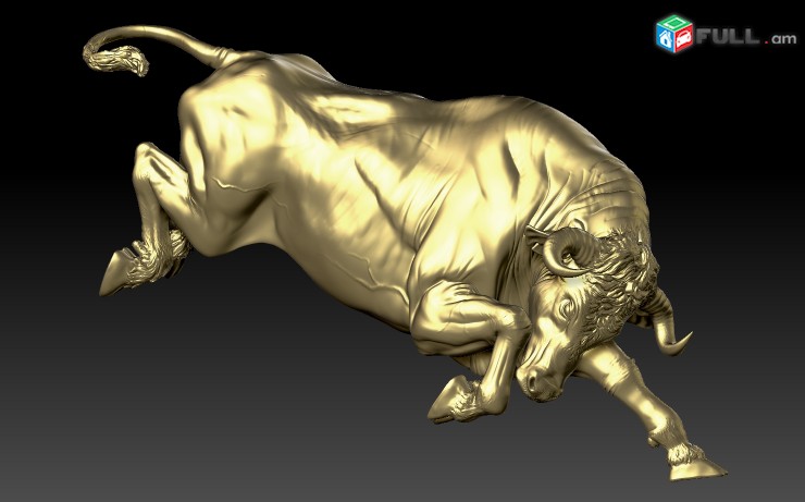 Անհատական խորացված, դասընթացներ Rhinoceros, Matrix, Rhino gold, Zbrush, Tspline