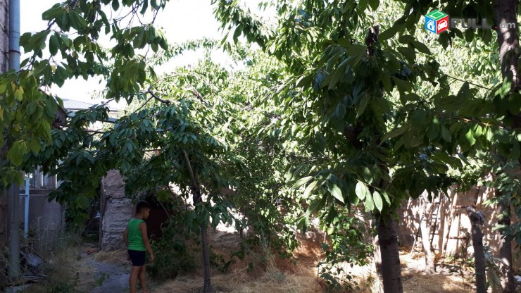 Վաճառվում է  սեփական տուն