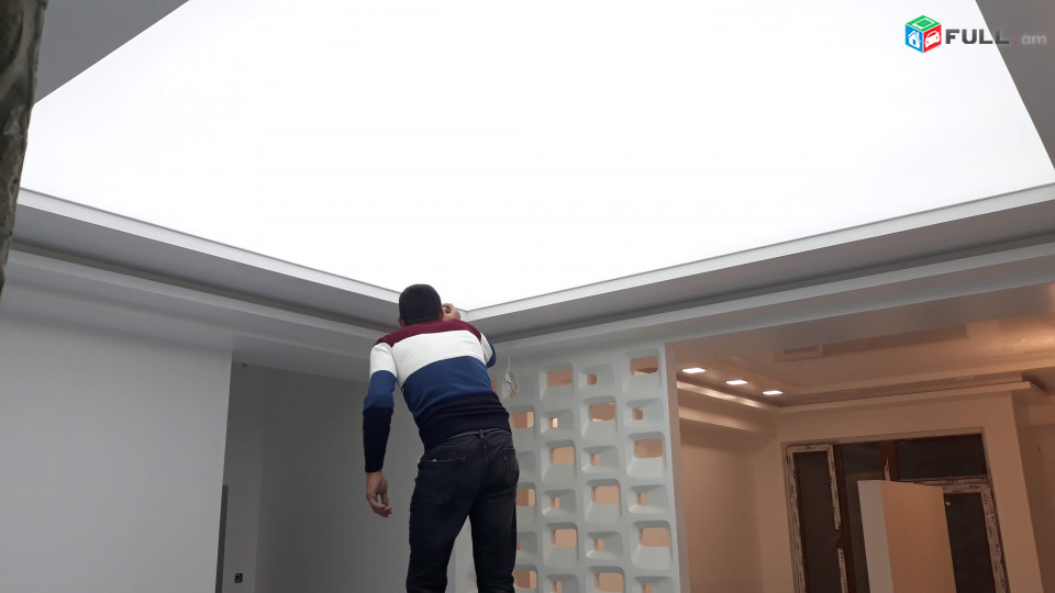 Fransiakan dzgvox arastaxner