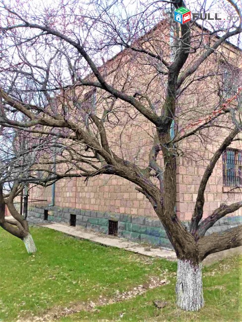 Երեք հարկանի քարե տուն Պտղնիում,   2 սանհանգույց, մեծ հողամաս for sale  Կոդ C1238