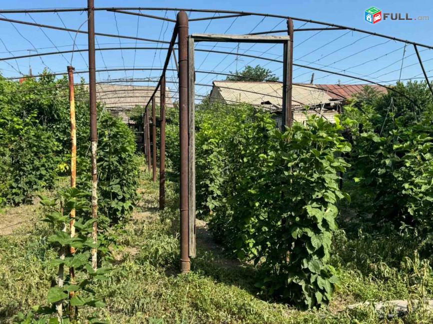 Մասիս քաղաքում վաճառվում է բնակելի տուն՝ հողատարածքի և անասնաշենքի հետ միասին, For sale, կոդ C1692