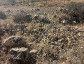 Հողատարածք  Աշտարակի  խճուղի Վառոյի  ձորակ