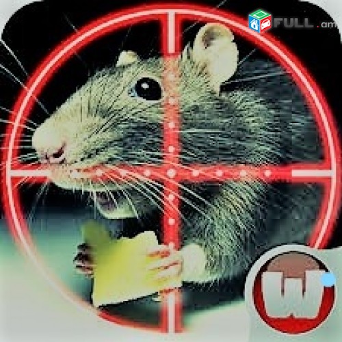 Destruction Rats rat Struggle against rats  arsenic  An effective remedy Պայքար առնետների դեմ  rmouse mice rats rat  kill rats tat how to eliminate mice?  how to eliminate rats?