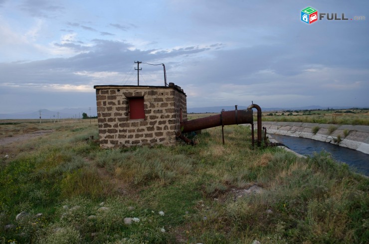 Ptghatu aygi Eghvardum
