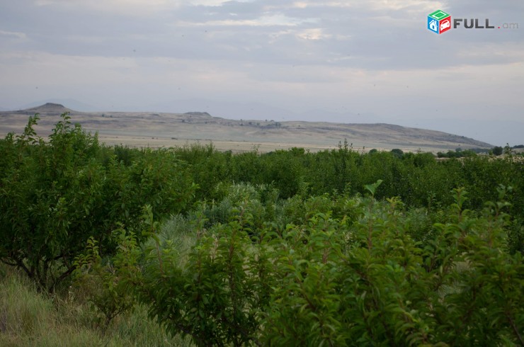 Ptghatu aygi Eghvardum