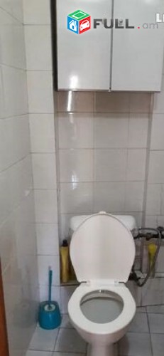 Vardzov e trvum 4 senyakanoc bnakaran Ervand Qochar poxocum 