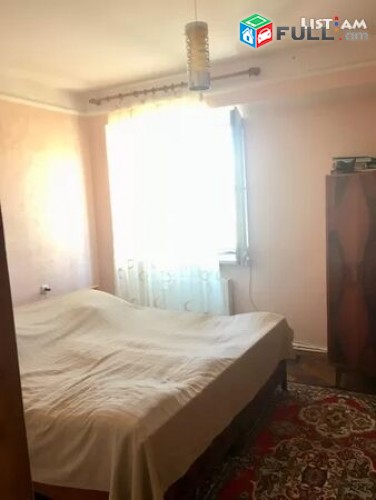 Vardzov e trvum 3 senyakanots bnakaran Davitashenum 