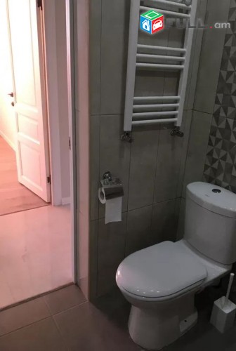 Vardzov e trvum 2 senyakanoc bnakaran Davitashenum