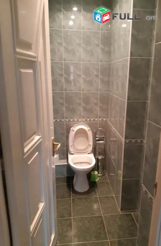 Vardzov e trvum 3 senyakanoc bnakaran Davitashenum
