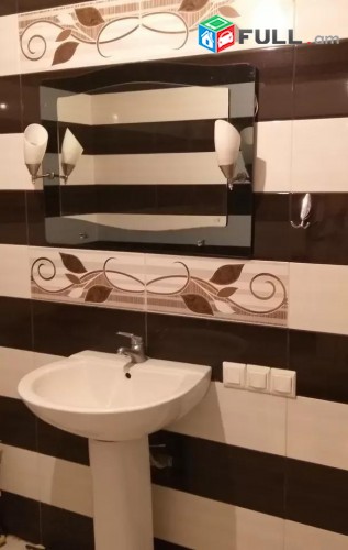 Vajarvum e 3 senyakanoc bnakaran Davitashenum