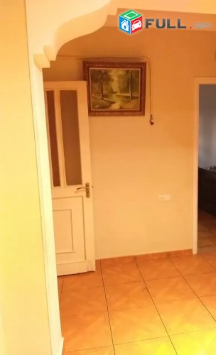 Vajarvum e 3 senyakanoc bnakaran Davitashenum