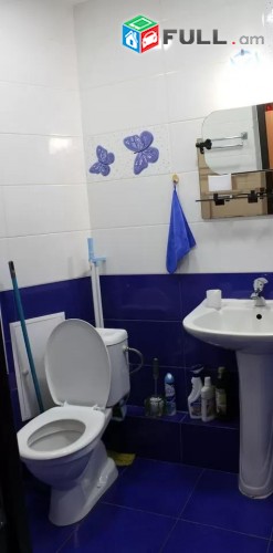 Vardzov e trvum 2 senyakanoc bnakaran Arabkirum
