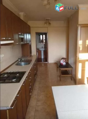 Vardzov e trvum 1/2 senyakanoc bnakaran Arabkirum