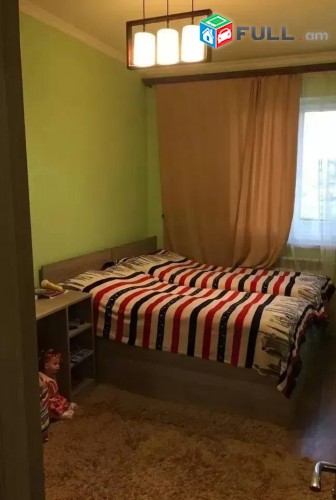 Vardzov e trvum 3 senyakanoc bnakaran Davitashenum