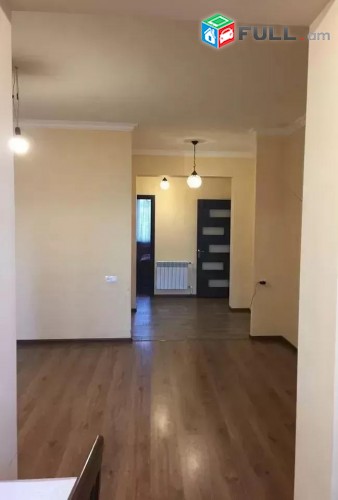 Vardzov e trvum 3 senyakanoc bnakaran Davitashenum