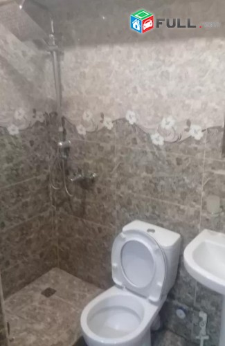 Vardzov e trvum 3 senyakanoc bnakaran Ajapnyakum