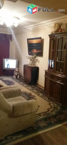 Vardzov e trvum 2 senyakanoc bnakaran Arabkirum