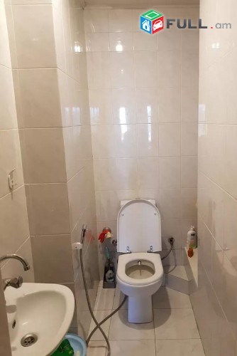 Vardzov e trvum 3  senyakanoc bnakaran Davitashenum