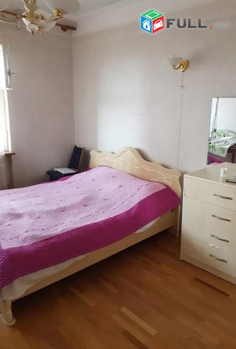 Vardzov e trvum 3  senyakanoc bnakaran Davitashenum