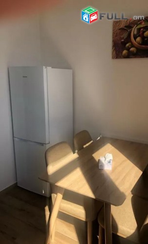 Vardzov e trvum 1 senyakanoc bnakaran Arabkirum