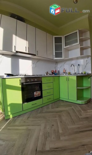 Vardzov e trvum 3 senyakanoc bnakaran Davitashenum