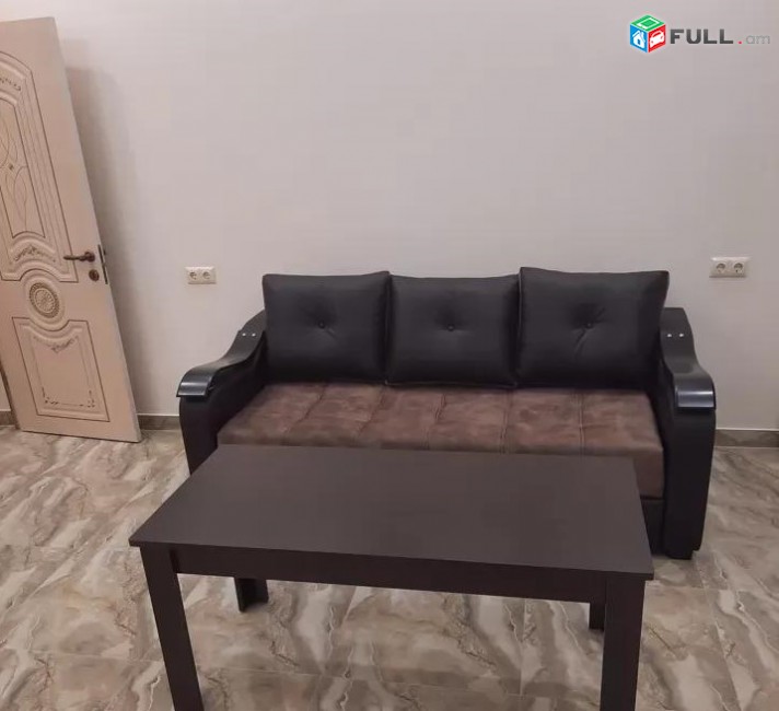 Vardzov e trvum 2 senyakanoc bnakaran Davitashenum