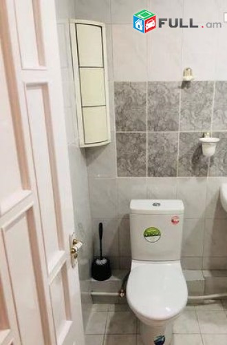 Vardzov e trvum 3 senyakanoc bnakaran Leningradyanum 
