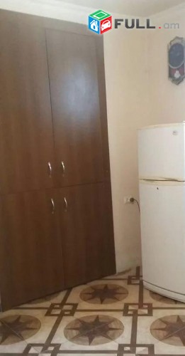 Vardzov e trvum 4 senyakanoc sepakan tun Avanum