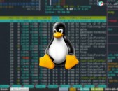 Linux-ի դասընթացներ NDG Linux 1,NDG Linux 2.