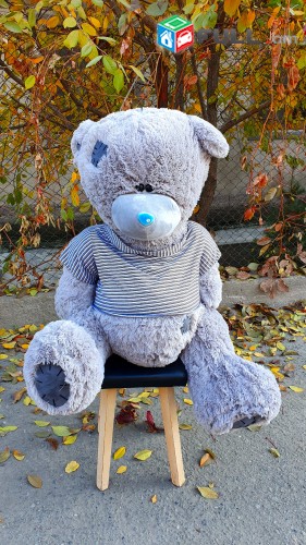 Հանրաճանաչ Teddy Me To You Արջուկ,arjukneri tesakani,teddy,tedy,me to you,arjer,xaxaliqner,nverner