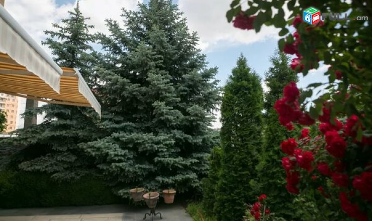 Կասկադում առանձնատուն վարձով
