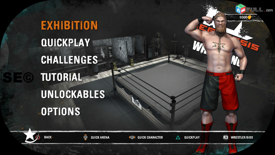 Ps5 Playstation 5 Ps 4 Playstation4 Ps 3 Sony Խaxեր   		5 Star Wrestling	Standard Edition