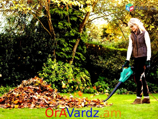 Անվճար Առաքում Louez Un Aspirateur Souffleur Pour Votre Jardin Ou Votre Serre, Vardzov Terevneri Poshekul