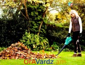 Անվճար Առաքում Louez Un Aspirateur Souffleur Pour Votre Jardin Ou Votre Serre, Vardzov Terevneri Poshekul