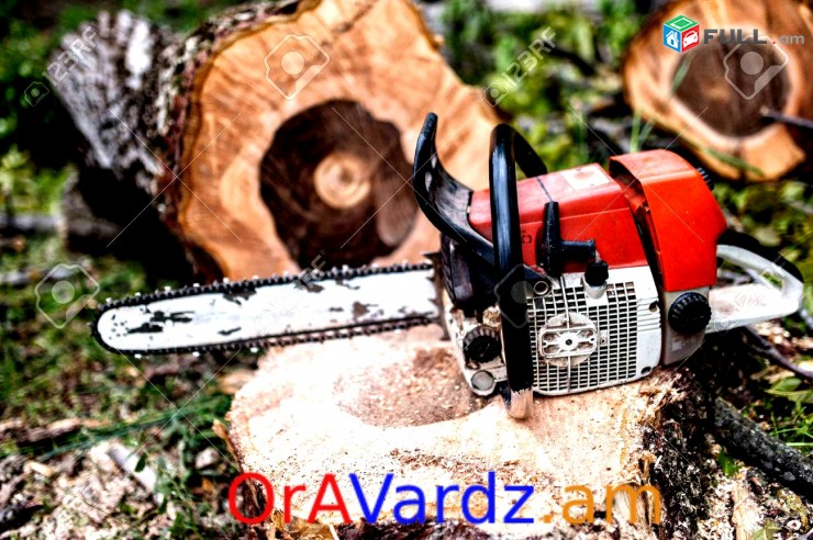 Անվճար Առաքում Varcov Benzapila, Drujba, Petrol Chain Saw For Rent