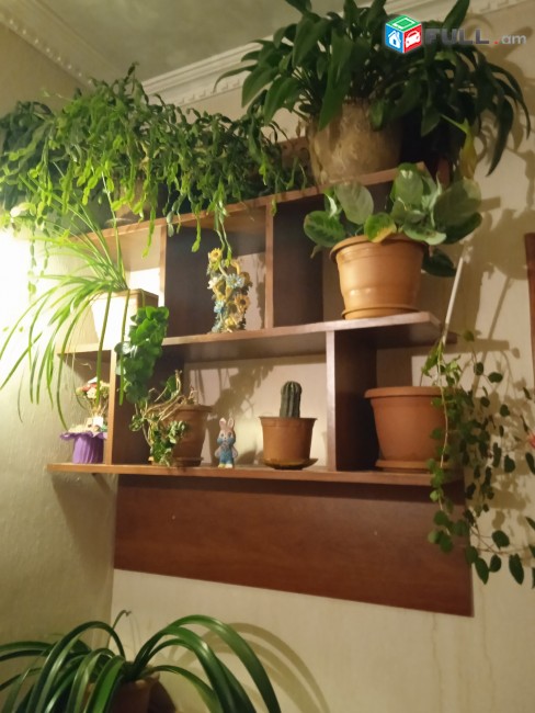 Vardzov bnakaran Nor Norqi 5-rd zangvacum