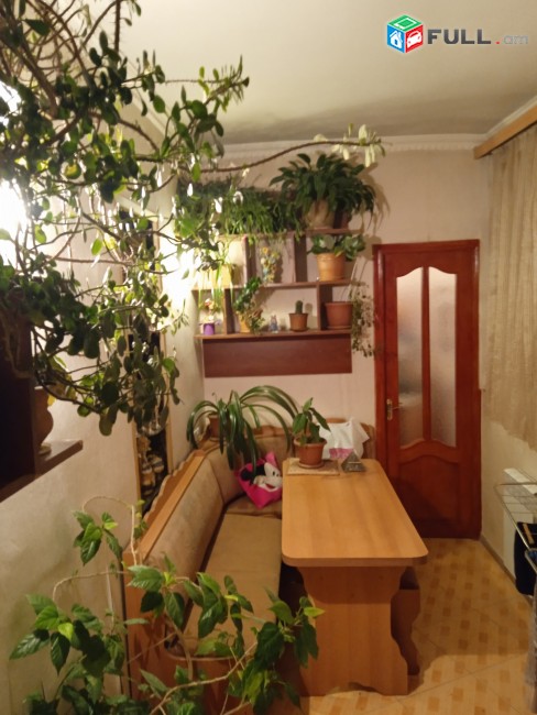 Vardzov bnakaran Nor Norqi 5-rd zangvacum