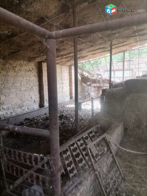 H0532 Ֆերմա Օշականում