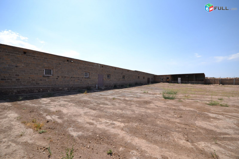H0538 Ֆերմա գ․ Արագածոտնում
