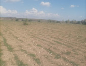 H0653 Հողատարածք Կարին գյուղում