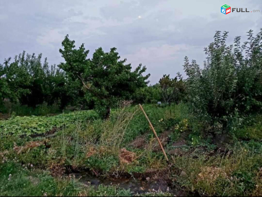 H0744 Հողամաս Արա գյուղում