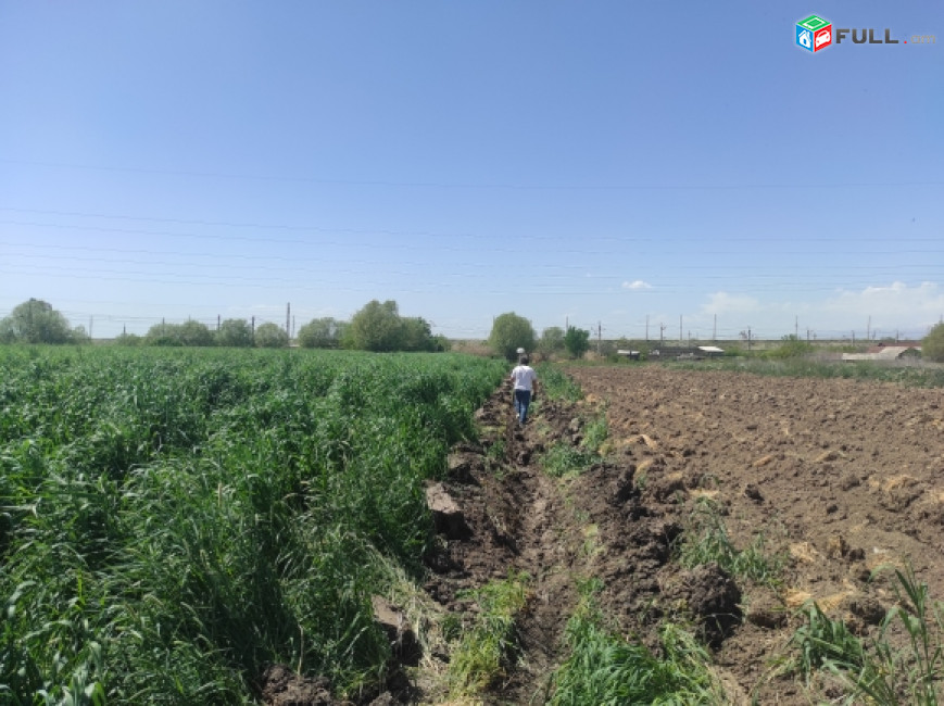 H0825 Հողամաս Շենգավիթում