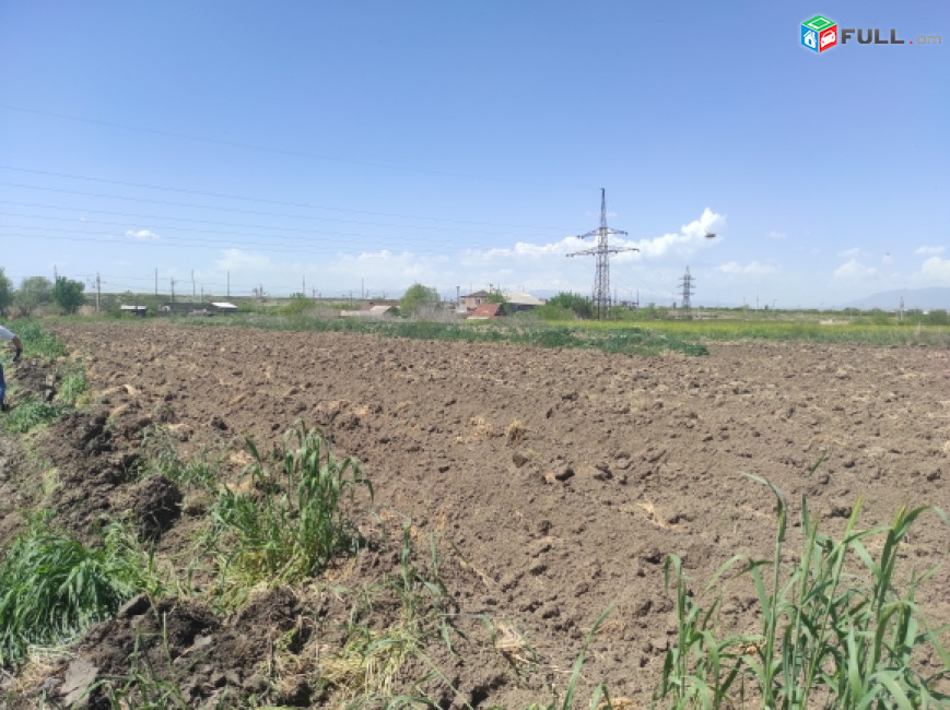H0825 Հողամաս Շենգավիթում