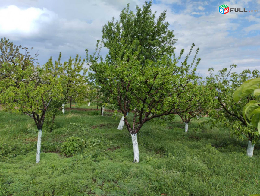 H0831 Երկհարկանի կիսակառույց Տեղեր գյուղում