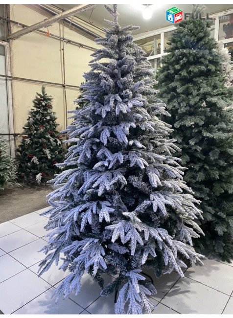 Եղևնի,տոնածառ (150-300սմ, Tonacar