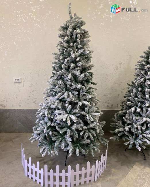 Եղևնի 180-240սմ, տոնածառ,tonacar