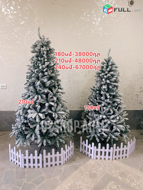 Եղևնի 180-240սմ, տոնածառ,tonacar